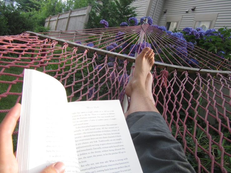 someone in the hammock reading a book