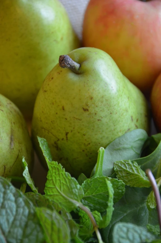 an assortment of fruit including apples, mint and red berries