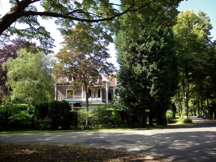 the street on the right has two trees at the corner and three benches