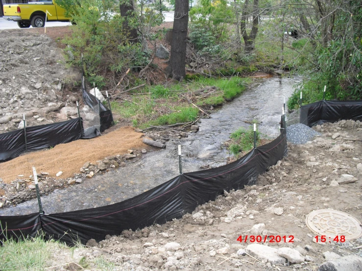 there are several plants that are planted around the river