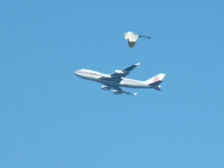 a large passenger jet flying through the sky