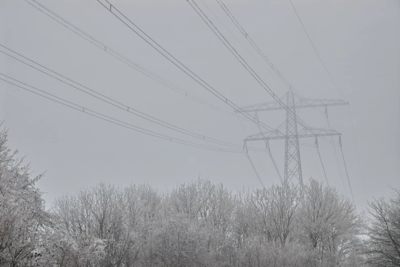 telephone wires on a cloudy, overcast day