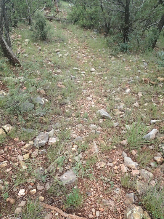 an area with rocks, green trees and dirt