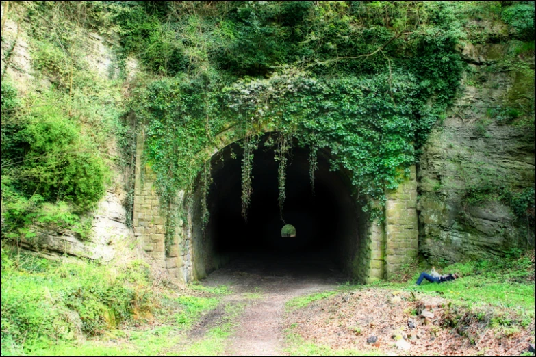 the entrance to a dark tunnel that looks like it is covered in vines and greenery