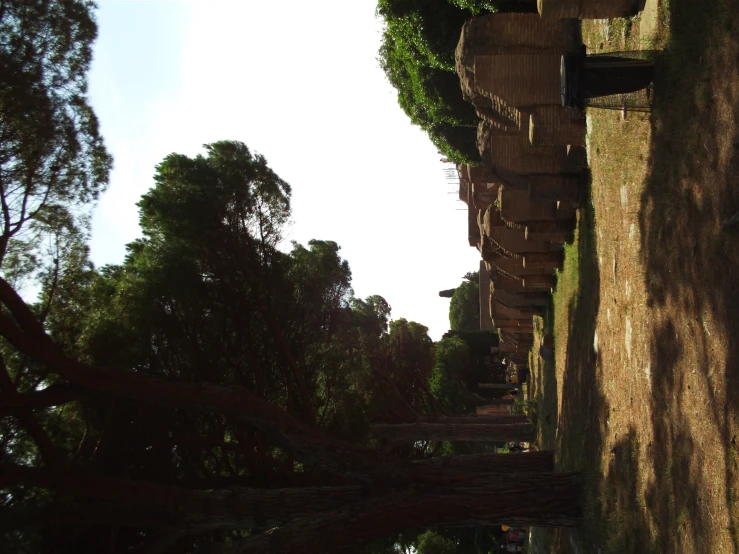 a bunch of tall houses with trees on either side