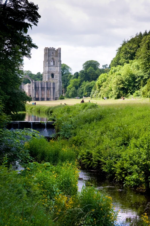 an overgrown river bank sits below a ruined building in the distance