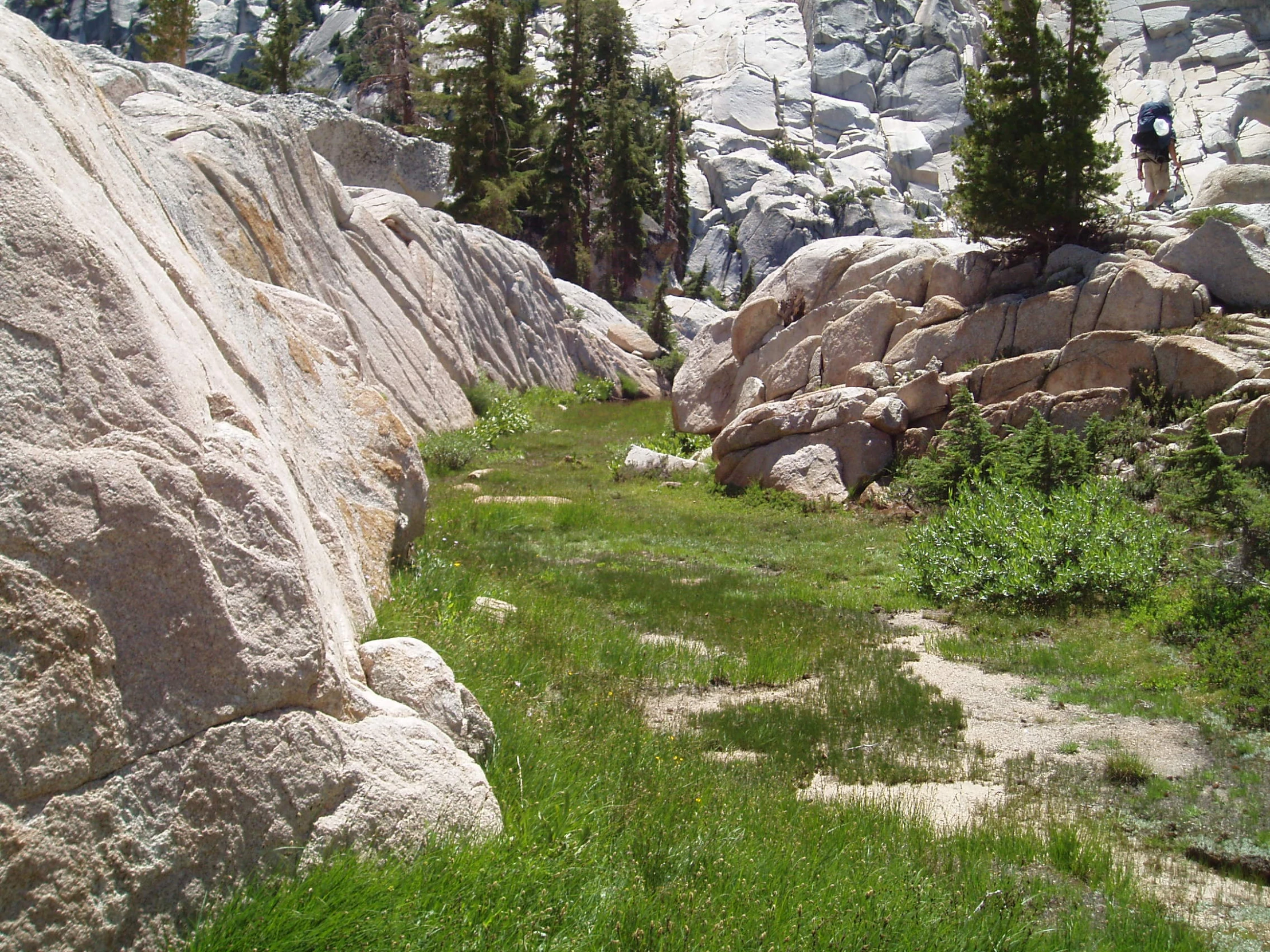 some large rocks grass and trees in the grass