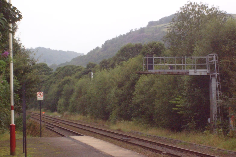 some train tracks on a foggy day