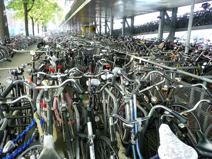 a large grouping of bicycles are all lined up
