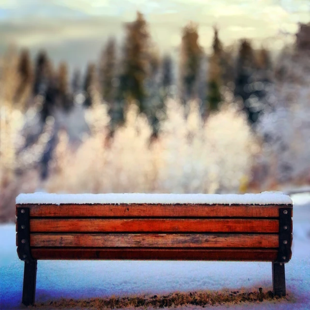 a snow covered park bench with trees in the background