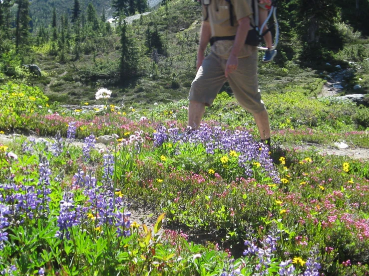 a man carrying a backpack in a grassy field of wild flowers