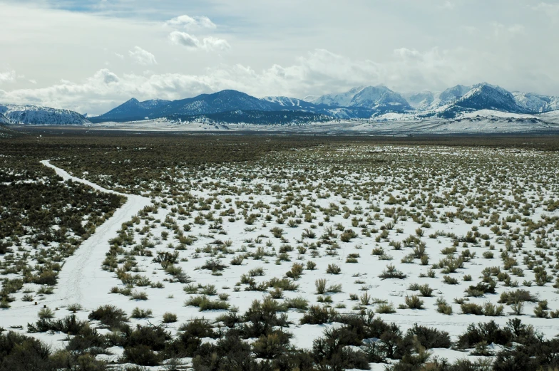 a road leads through the snow covered landscape