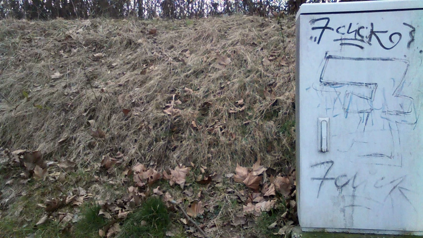 a big freezer door sitting near some leaves