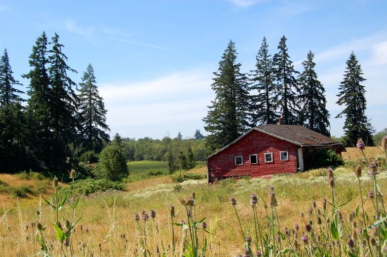 an old red house sitting on top of a grass covered field