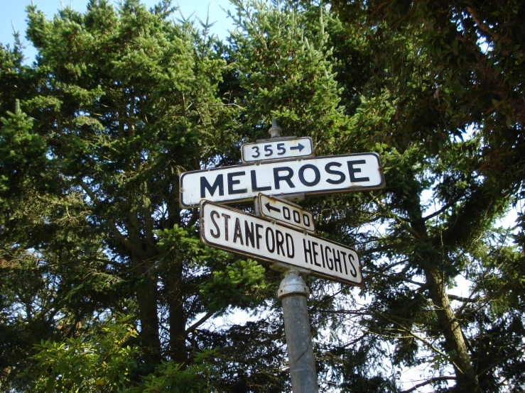 there are two signs at the intersection of melrose and stanford streets