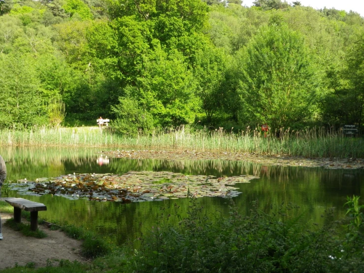 a man with a backpack is standing next to a lake