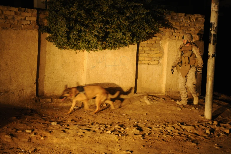 a dog running through the dirt next to a wall
