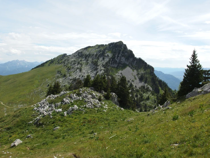 a steep grassy slope with trees growing up the side