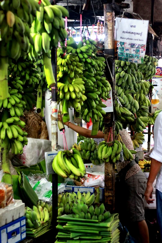 a man and a woman near some bunches of green bananas