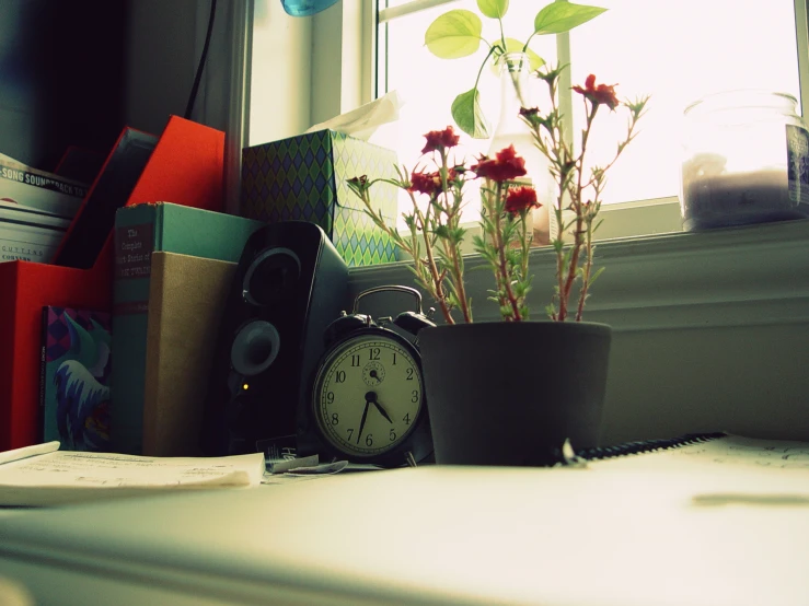 a small alarm clock sitting beside a potted plant