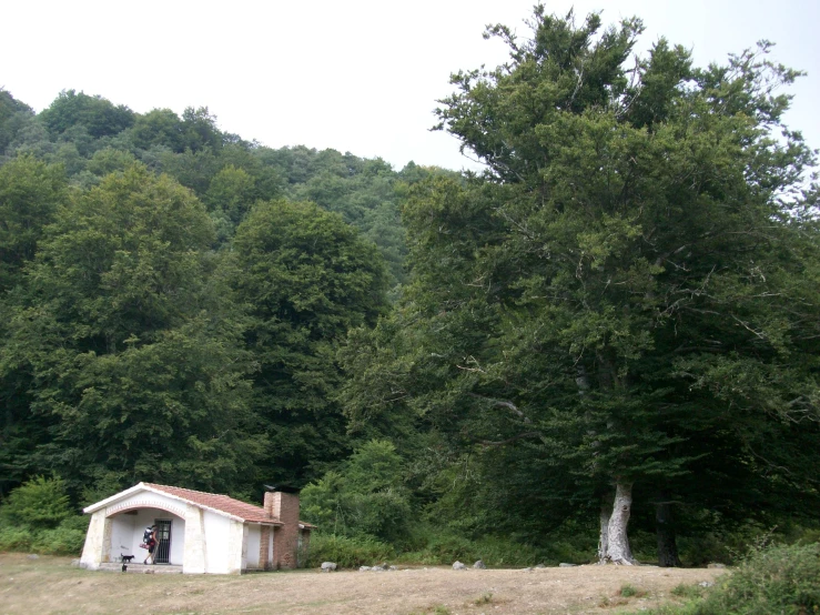 a small cabin in the middle of a forest