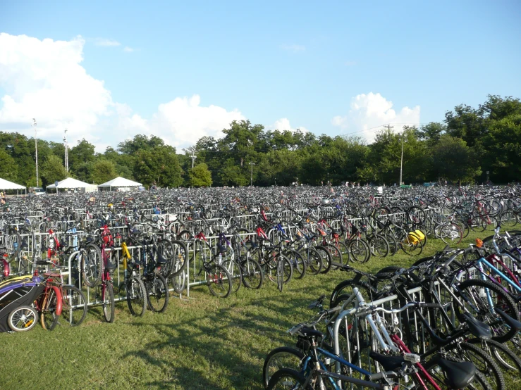 a large amount of bicycles parked in a field