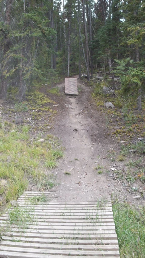 the steps lead up to the bench in the woods