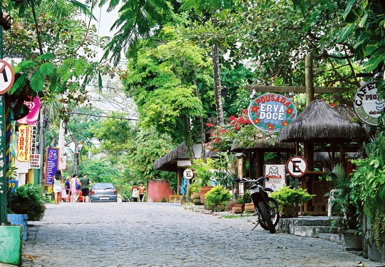 a road filled with dirt and trees covered in signs