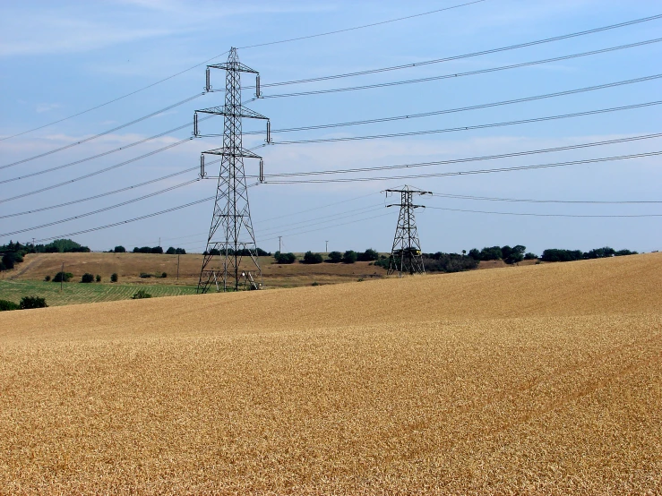 a field of brown grass and two tall electrical towers