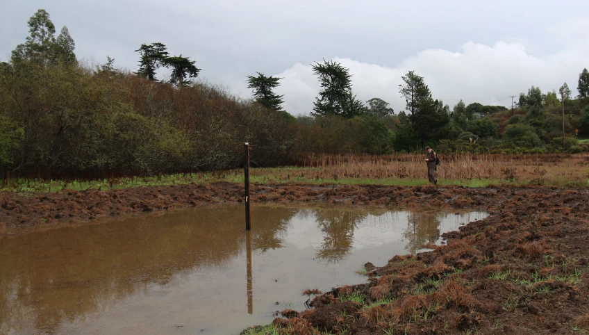 a wet landscape with trees in the background