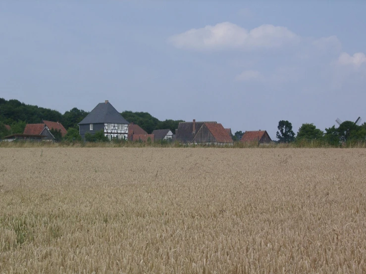 a building stands in the distance over a wheat field