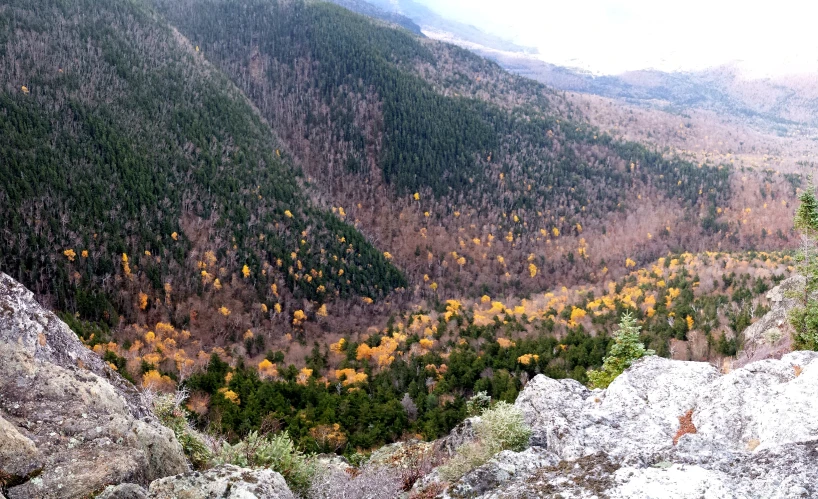 there is some very pretty mountains with trees in them