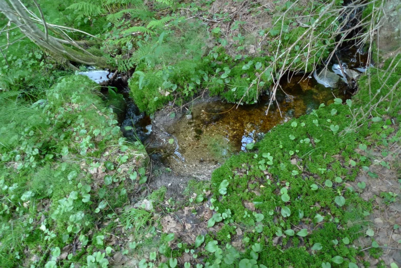 an open area with many different streams of water