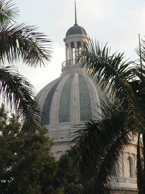 a building is shown with a domed roof, surrounded by palm trees