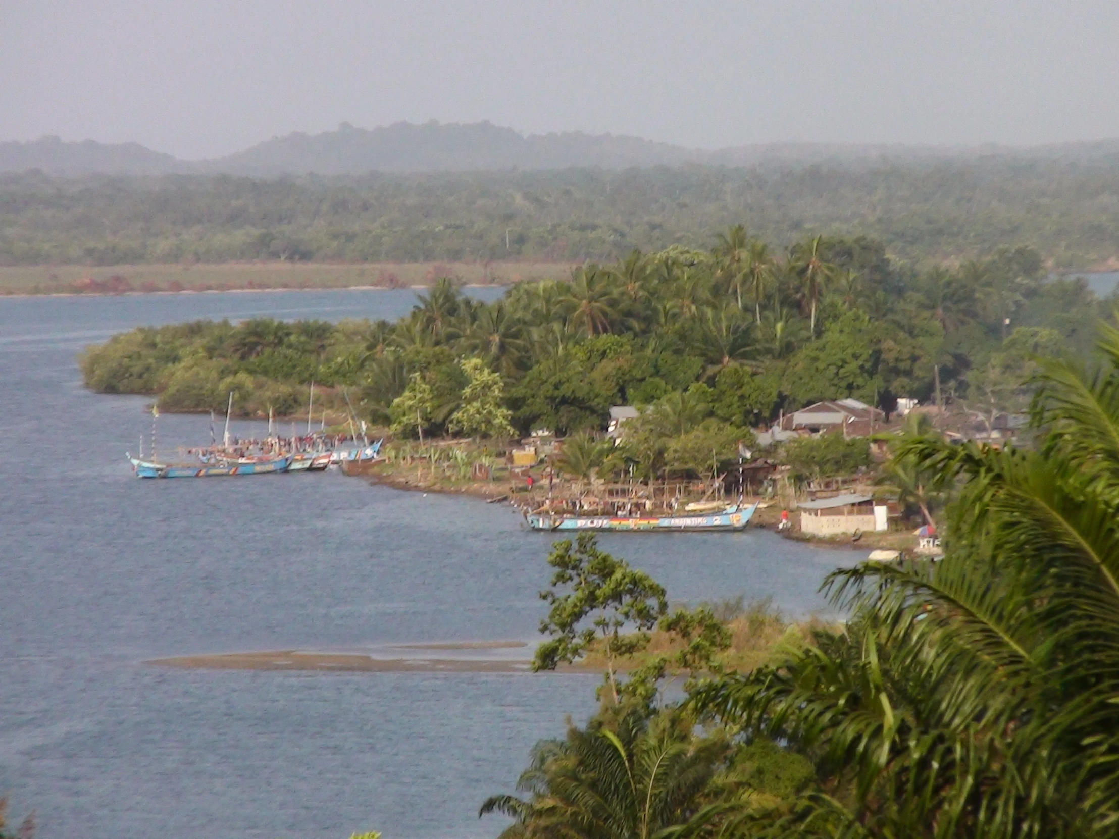 a view of a bunch of boats out on the water