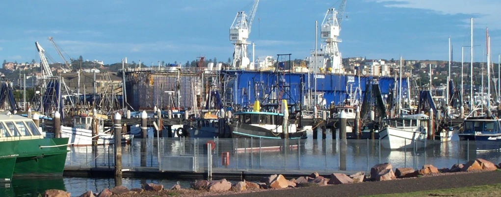 the dock has many boats in it