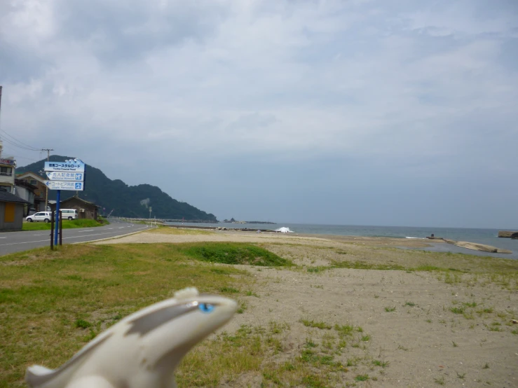 a view of a beach with signs next to it