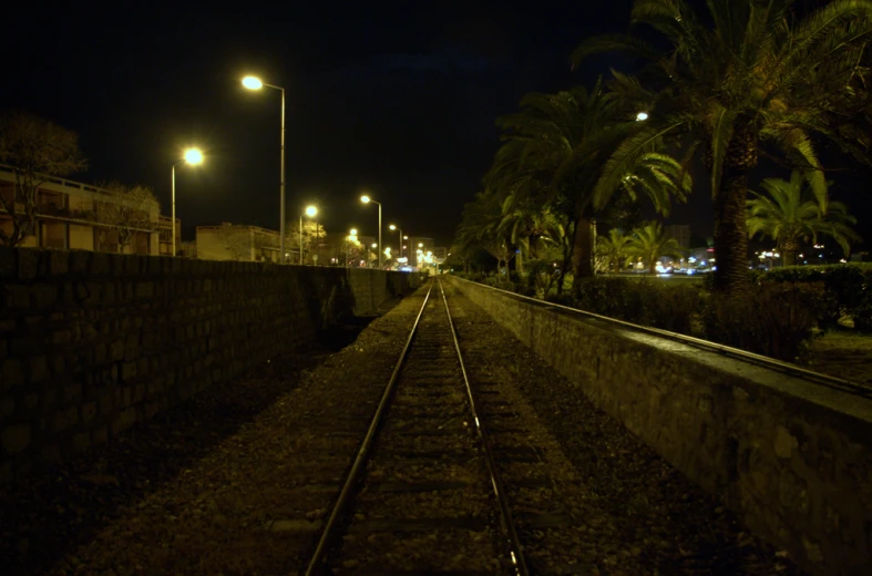 a railroad track at night with palm trees