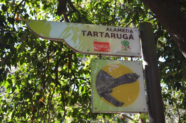 a sign warning of tamatariugan in jamaica