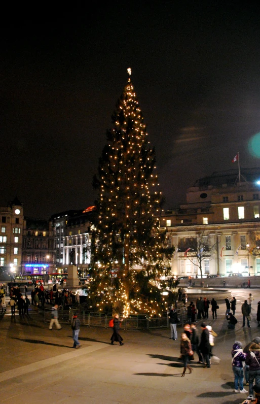 an illuminated tree is lit in front of a crowd of people