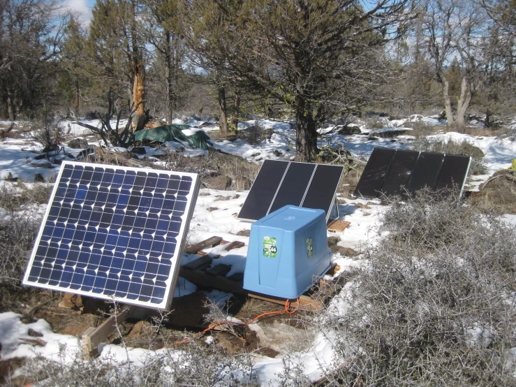 several small refrigerators are in a snowy forest