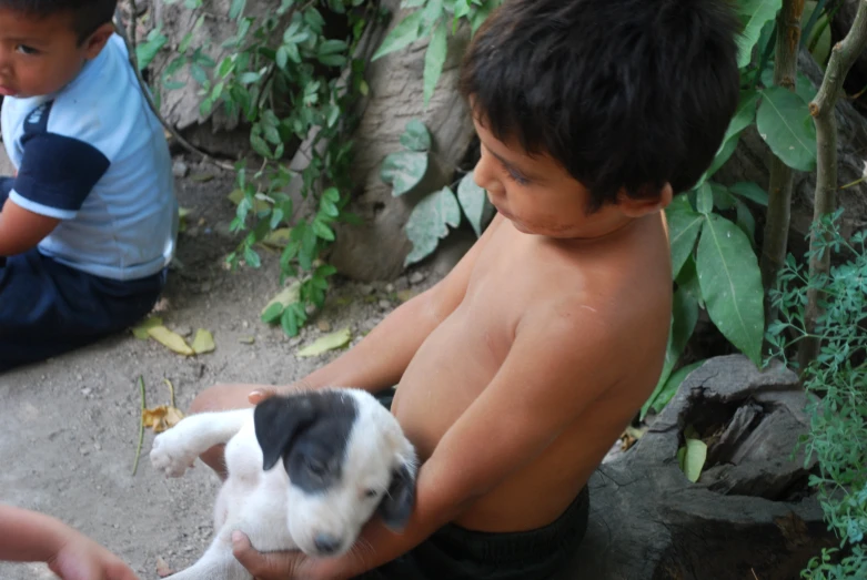 a child sitting with a small dog on the ground
