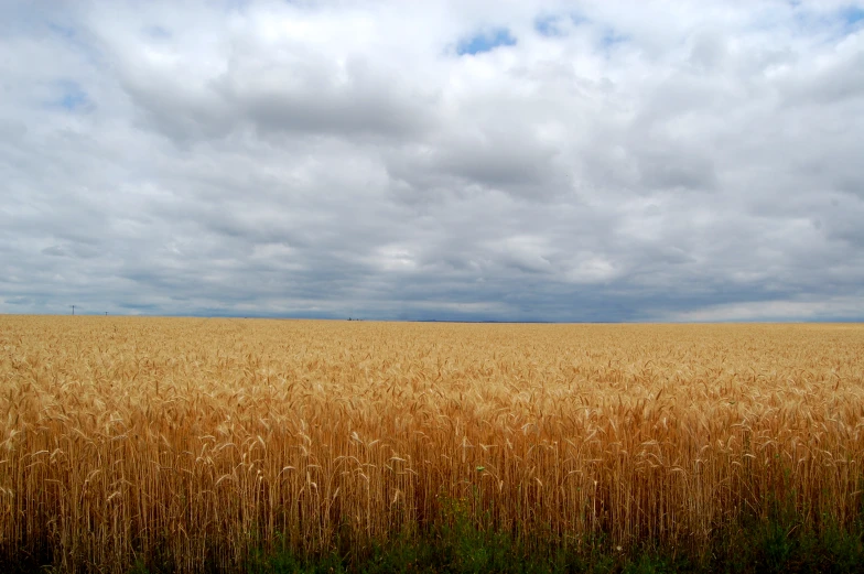 a field with an old style bus in the middle