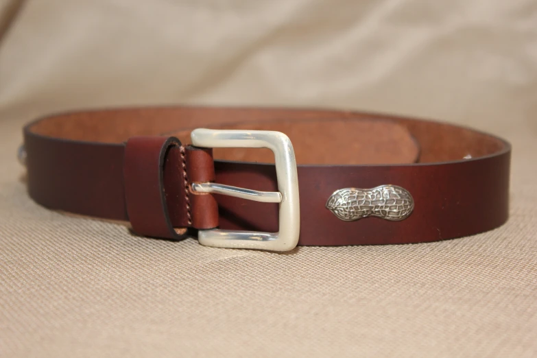 there is a brown belt with a dog bone on the buckle