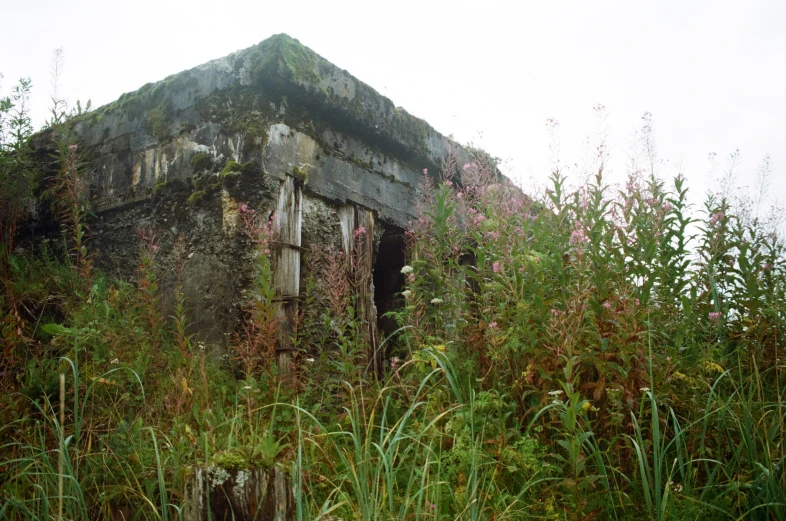 a dilapidated and overgrown building with windows partially open