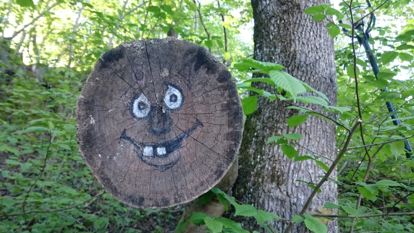 an owl cut out of a tree by the woods