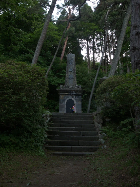 a person is standing in a doorway between a set of stairs in the forest