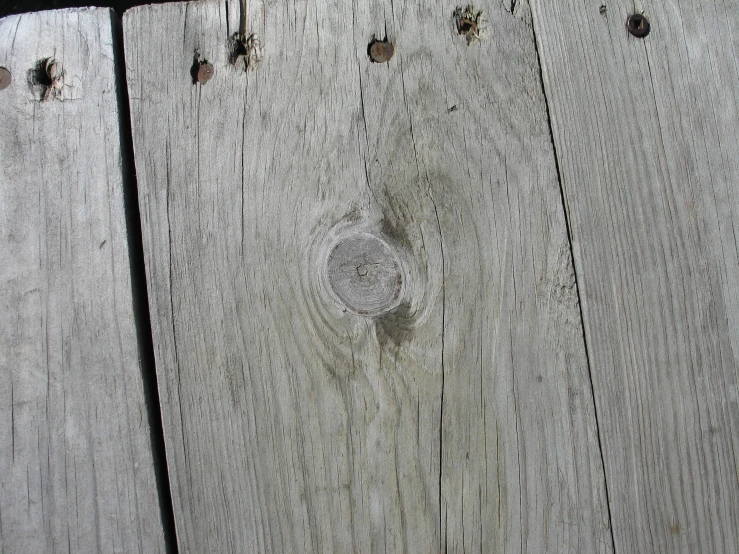 the bird is on a wooden board attached to a wire