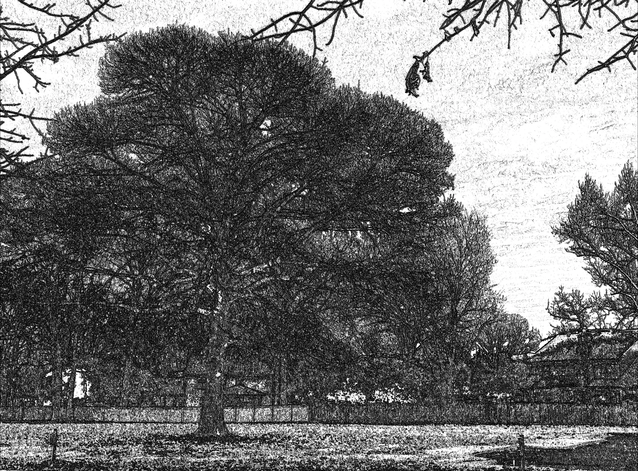 the silhouette of an older man sitting on a bench in a park