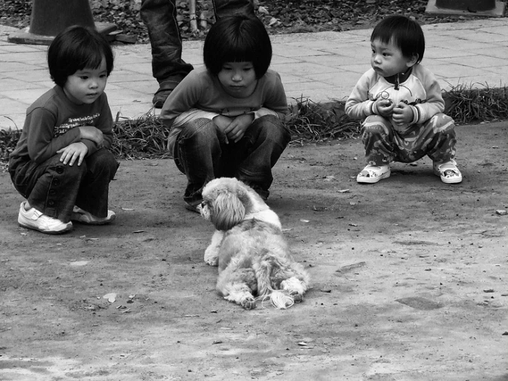 children are sitting on the ground playing with a dog